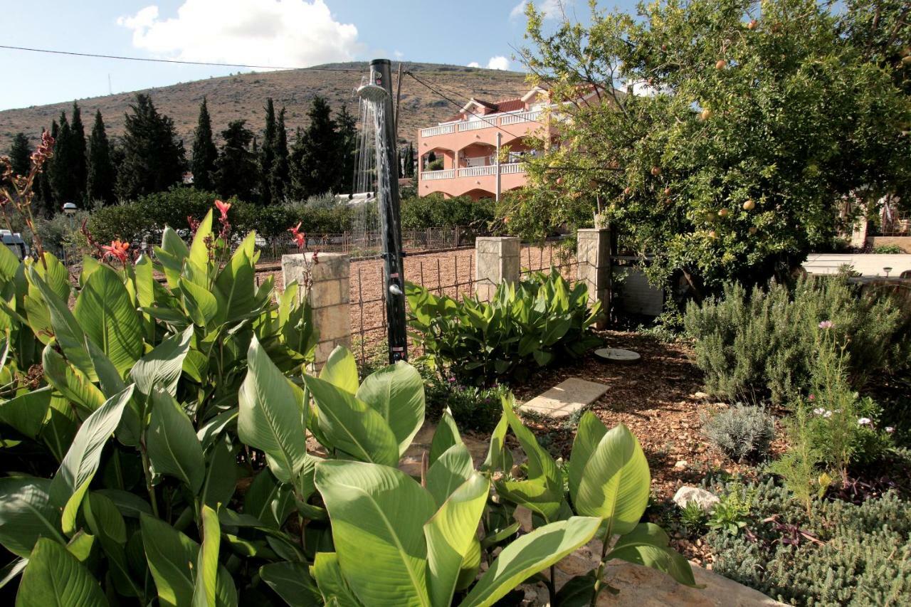Vila Nataly โตรกีร์ ภายนอก รูปภาพ