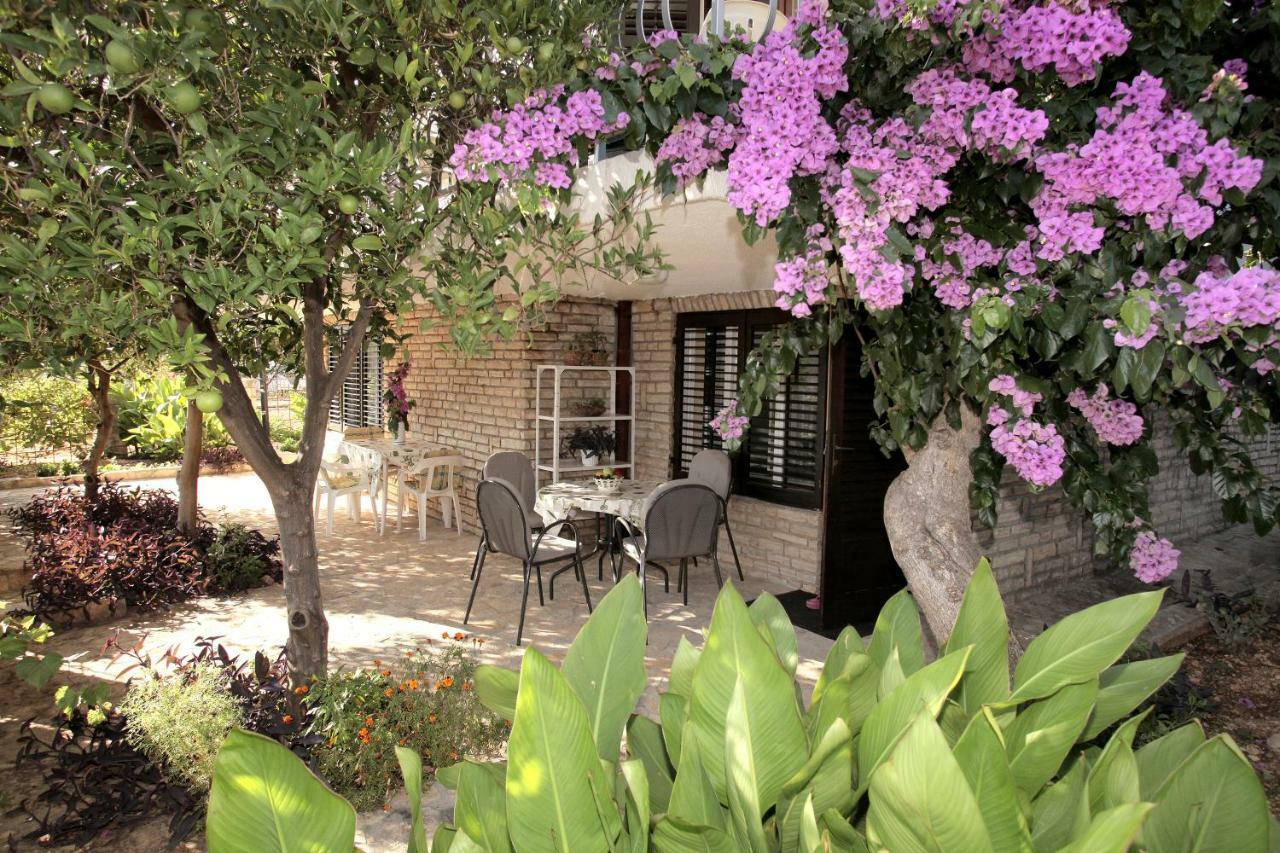 Vila Nataly โตรกีร์ ภายนอก รูปภาพ
